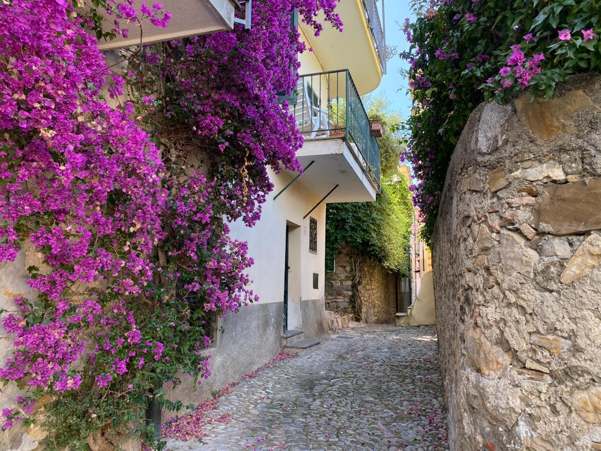 La Finestra Sul Borgo Bed and Breakfast Cervo Eksteriør billede